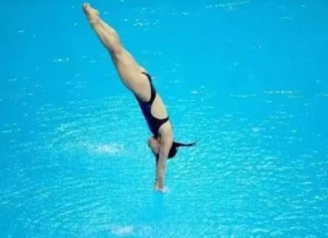 世界杯跳水锦标赛