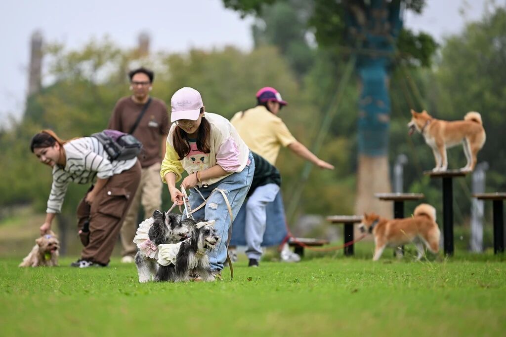 尊龙抖圈(中国区)官方网站-为du而生